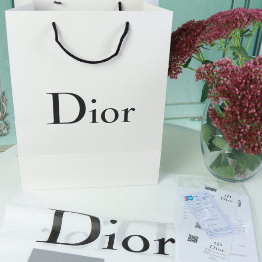 Пакет+пильник+документи маленький DIOR