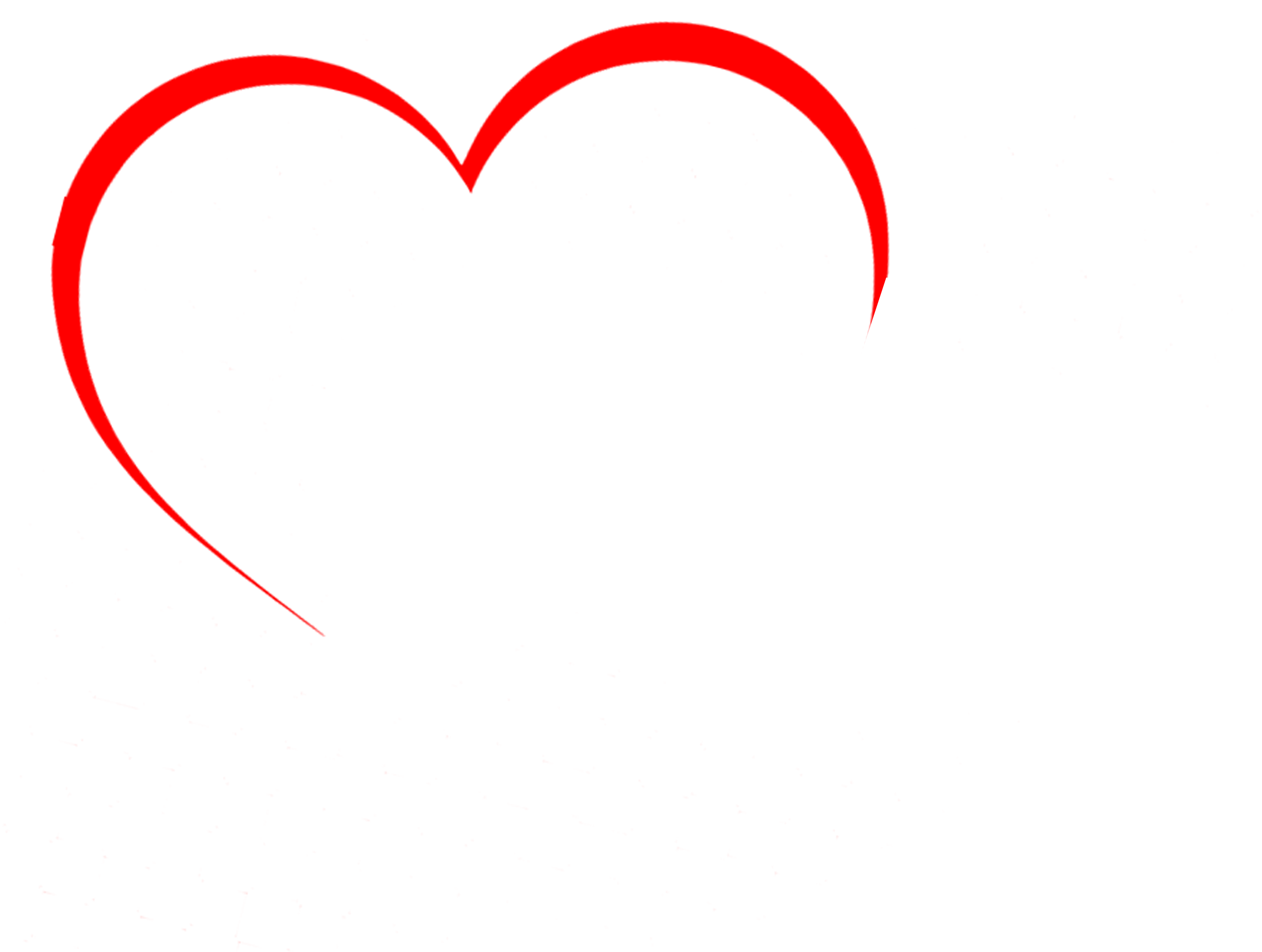 AnyModa