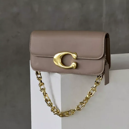 Сумочка клатч Coach Idol Bag бежевий