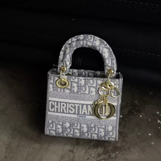 Жіноча сумка Christian Dior Lady size сірий класик