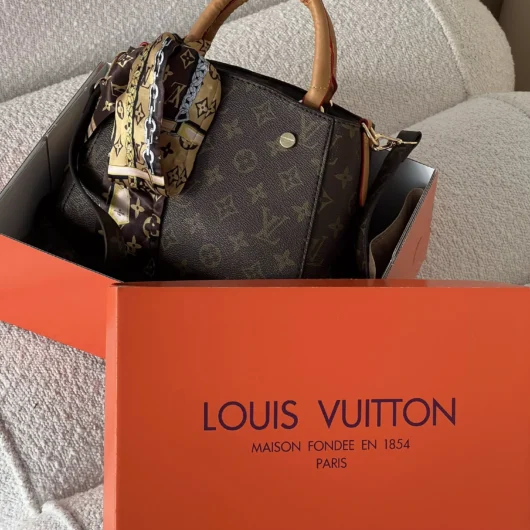 Сумка Louis Vuitton Braided Handle Montaigne Handbag Monogram mini коричневий