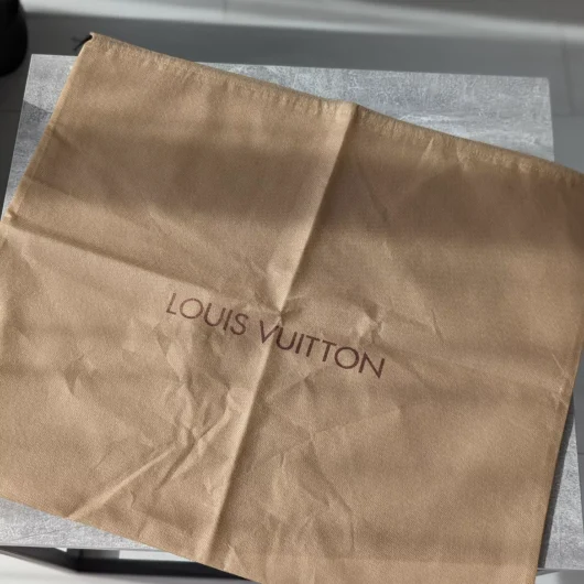 Пильовик великий Louis Vuitton