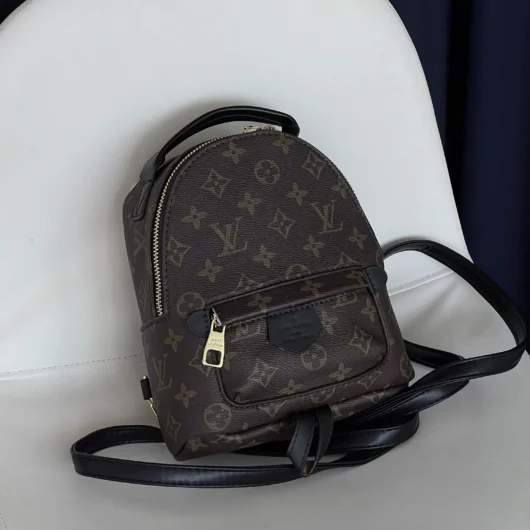Рюкзак Louis Vuitton  Palm Springs Mini коричневий + чорний