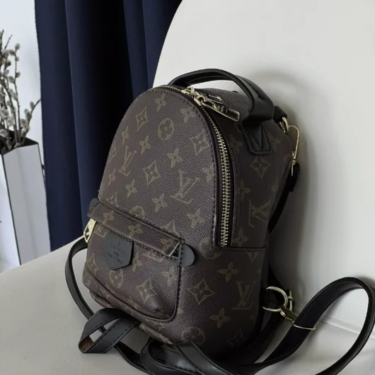 Рюкзак Louis Vuitton  Palm Springs Mini коричневий + чорний