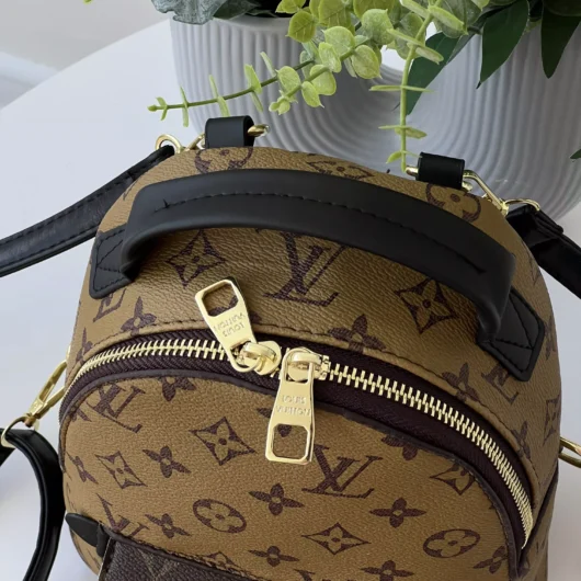Рюкзак Louis Vuitton  Palm Springs Mini коричневий монограм