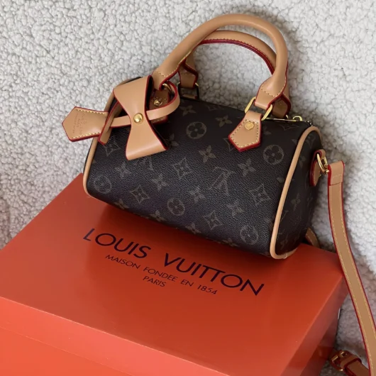 Сумка Louis Vuitton Nano Speedy коричневий