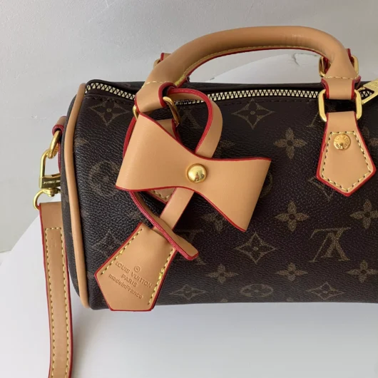 Сумка Louis Vuitton Nano Speedy коричневий