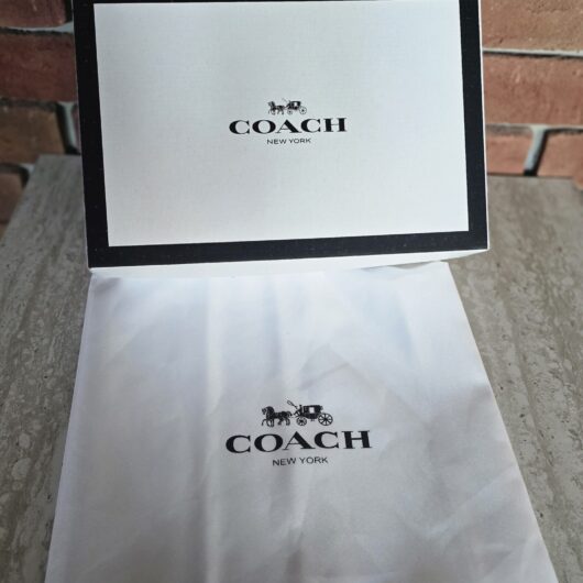 Коробка+пильник маленький Coach