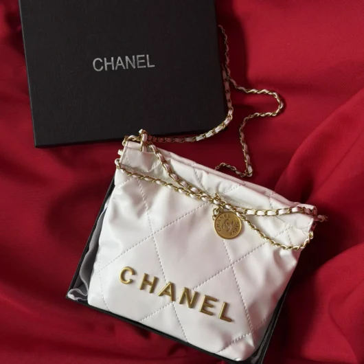 Жіноча сумка Chanel 22 Mini Handbag білий