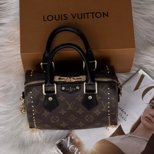 Сумка Louis Vuitton Speedy Trunk 20 коричневий