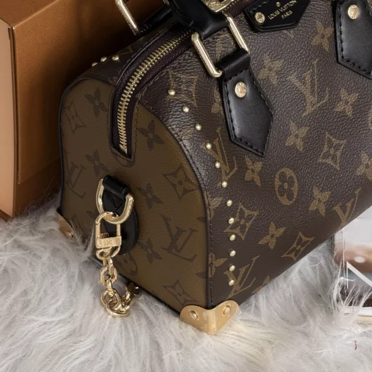 Сумка Louis Vuitton Speedy Trunk 20 коричневий