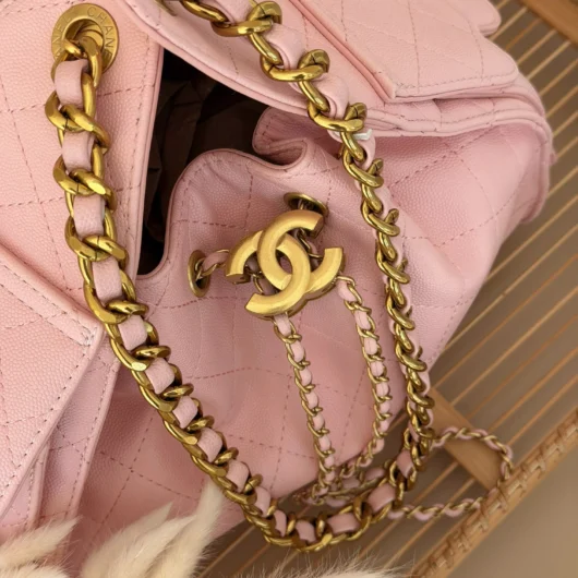 Сумка жіноча Chanel 25 Small Handbag рожевий