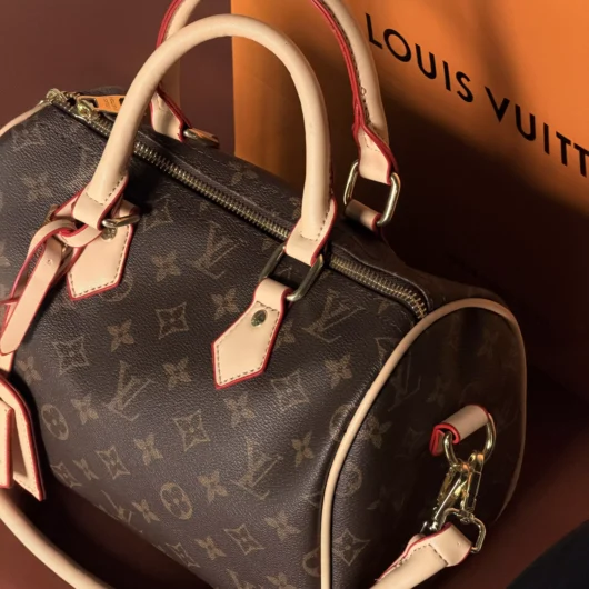 Сумка Louis Vuitton Speedy 25 коричневий + світлий беж