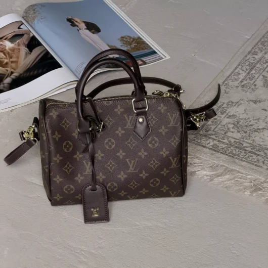 Сумка Louis Vuitton Speedy 25 коричневий + шоколад