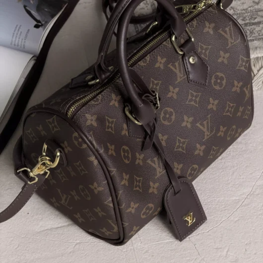 Сумка Louis Vuitton Speedy 25 коричневий + шоколад