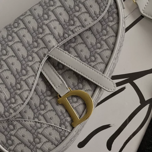Жіноча сумка Dior Saddle Bag світло-сірий