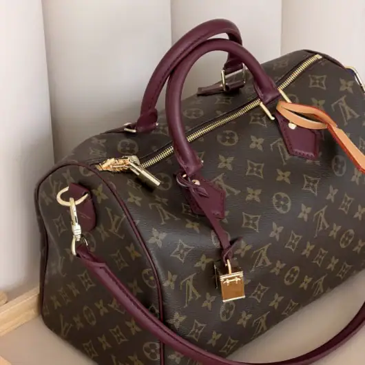 Сумка Louis Vuitton Speedy Soft 30 Premium