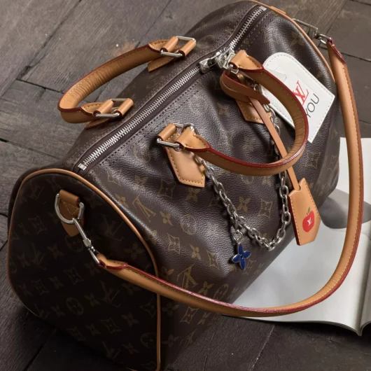 Сумка Louis Vuitton Speedy Soft 30 карамель срібло