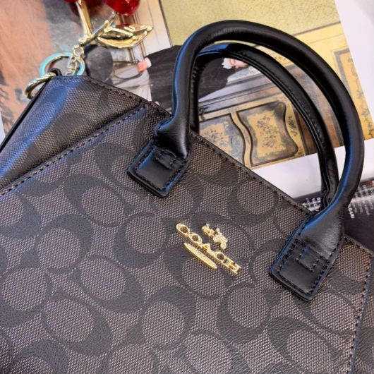 Coach Andrea Carryall Bag Mini шоколадний