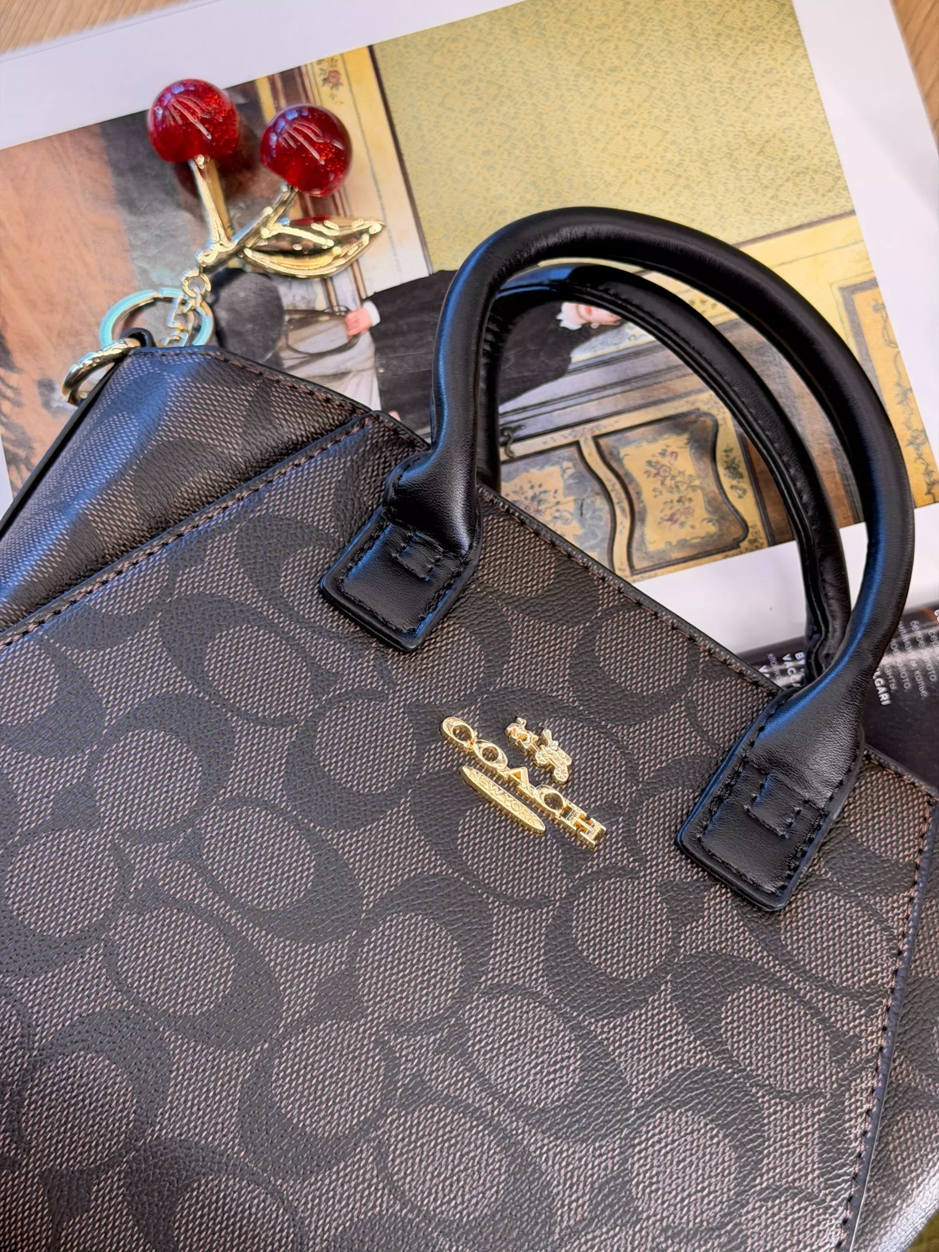 Coach Andrea Carryall Bag Mini шоколадний — изображение 2