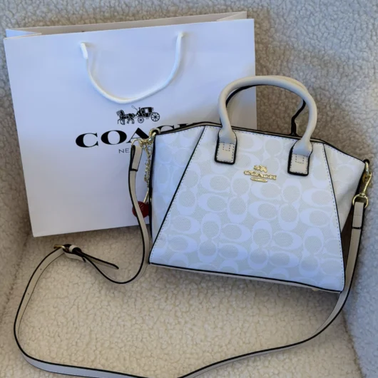 Coach Andrea Carryall Bag Mini молочний