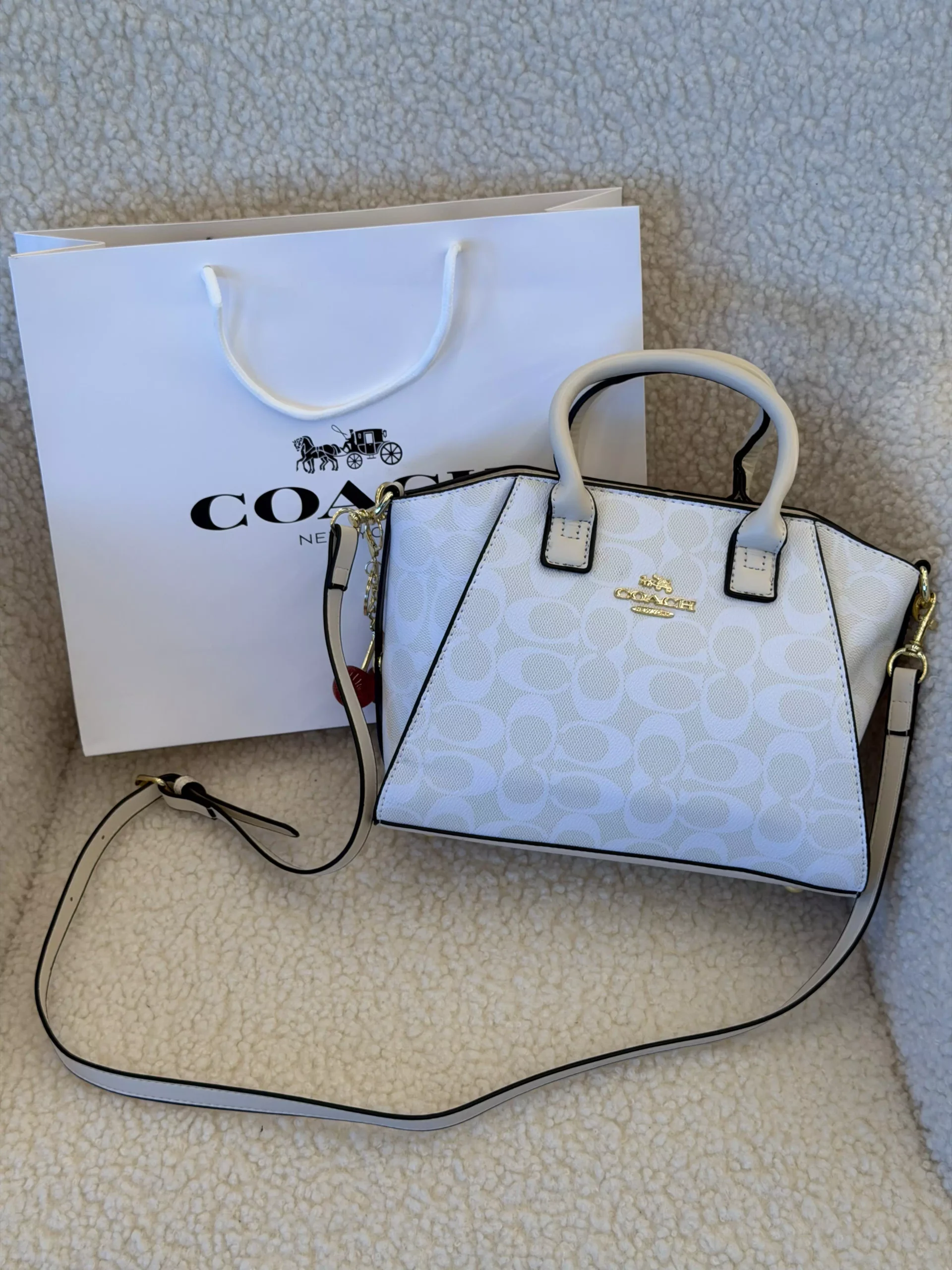 Coach Andrea Carryall Bag Mini молочний — изображение 2