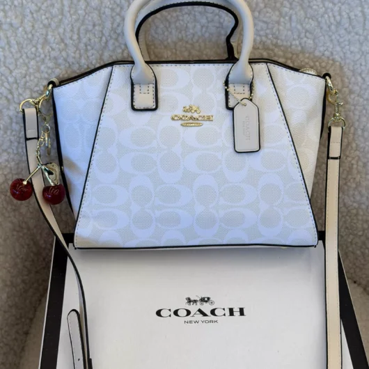 Coach Andrea Carryall Bag Mini молочний