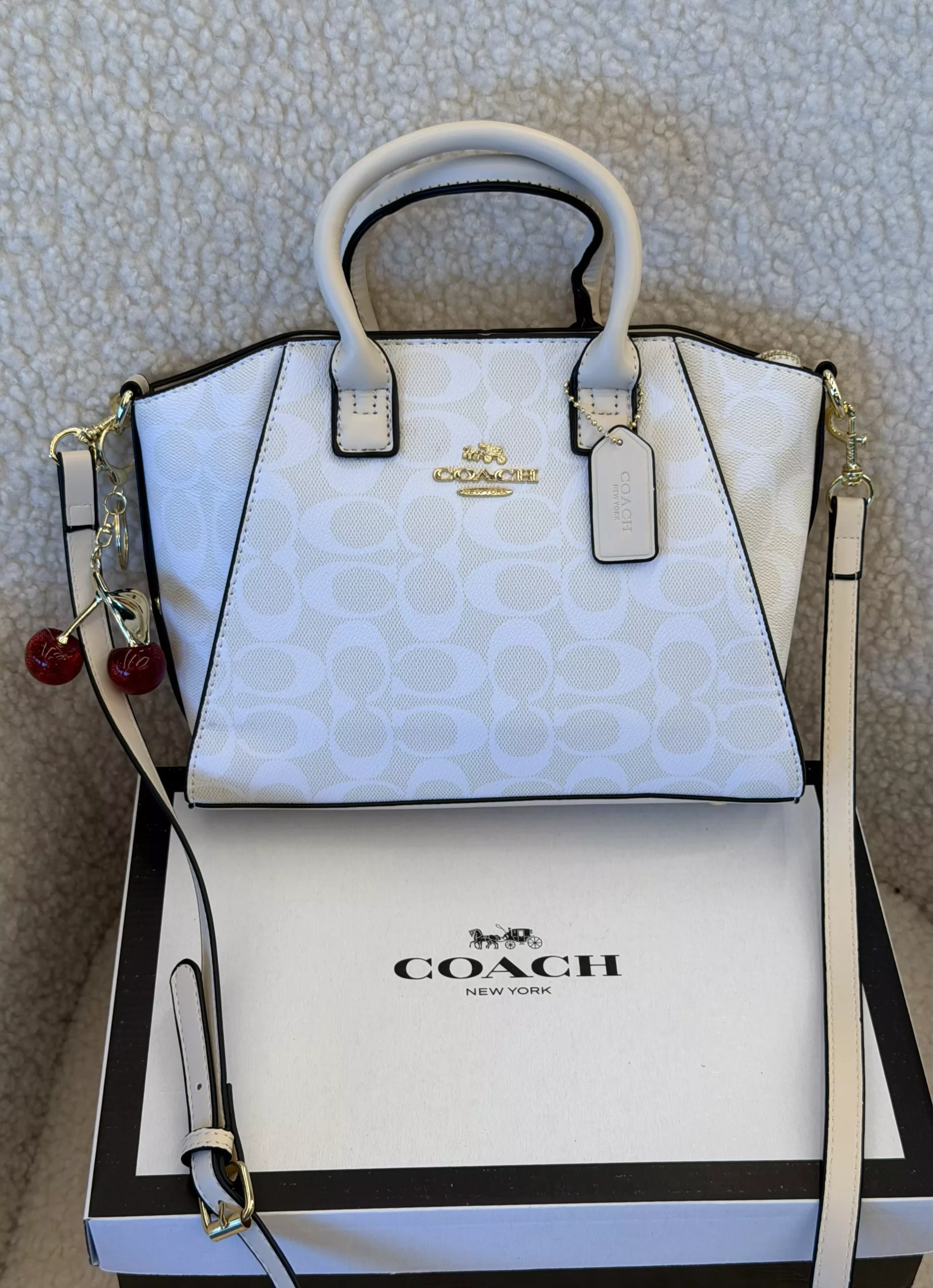 Coach Andrea Carryall Bag Mini молочний