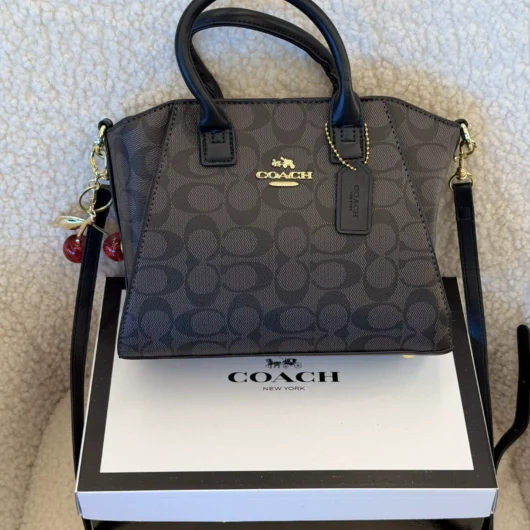 Coach Andrea Carryall Bag Mini шоколадний