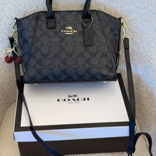 Coach Andrea Carryall Bag Mini чорний