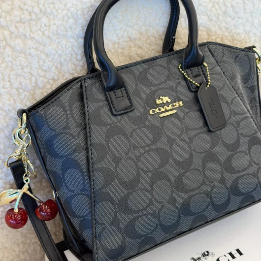 Coach Andrea Carryall Bag Mini чорний