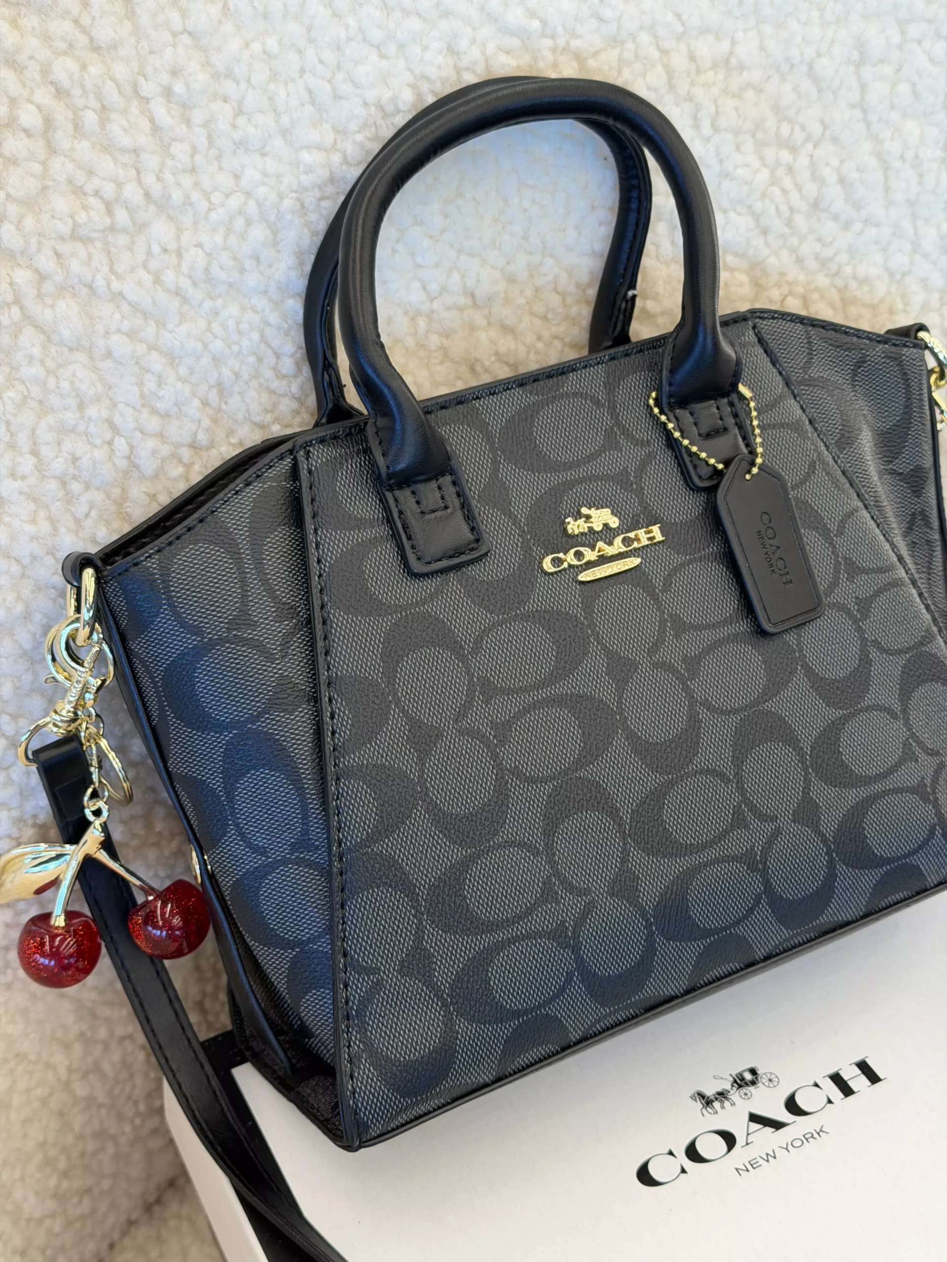 Coach Andrea Carryall Bag Mini чорний — изображение 2