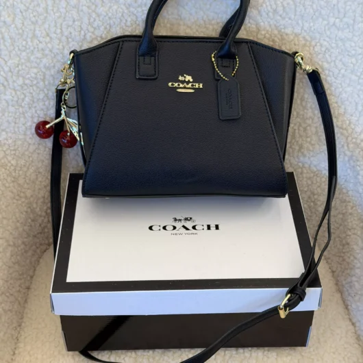 Coach Andrea Carryall Bag Mini чорний класичний