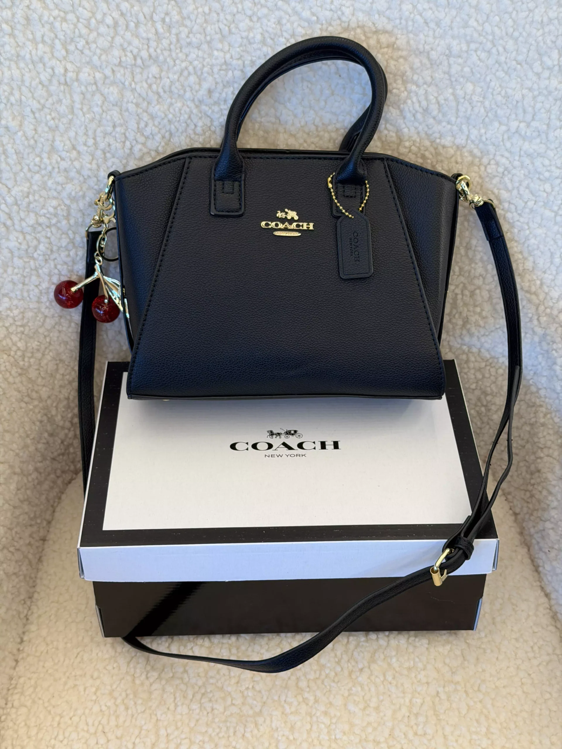 Coach Andrea Carryall Bag Mini чорний класичний