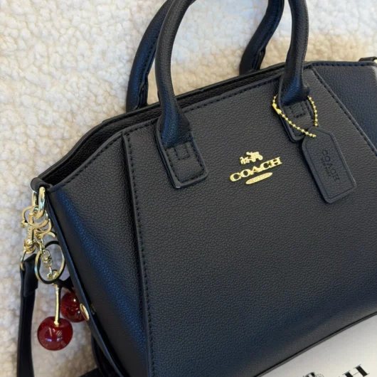 Coach Andrea Carryall Bag Mini чорний класичний