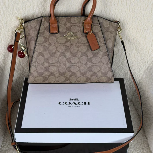 Coach Andrea Carryall Bag Mini карамельний