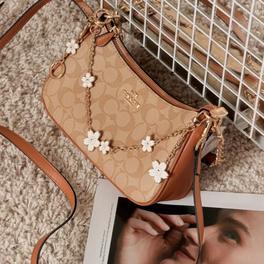 Сумка Coach Teri in Signature Canvas with Charms бежевий