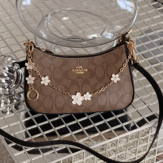 Сумка Coach Teri in Signature Canvas with Charms коричнево-чорний