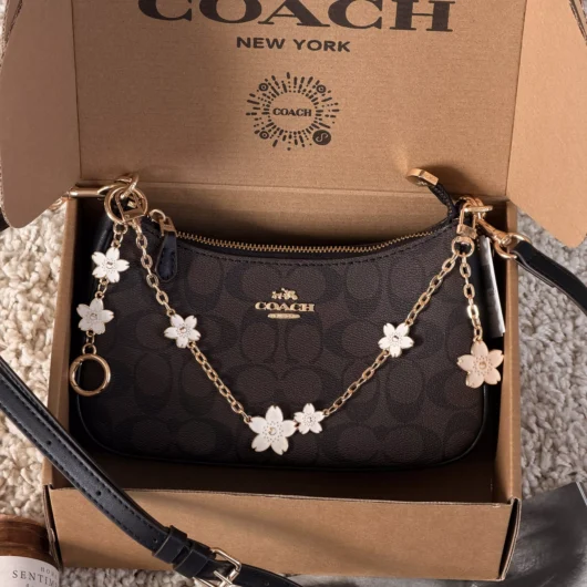 Сумка Coach Teri in Signature Canvas with Charms чорний шоколад